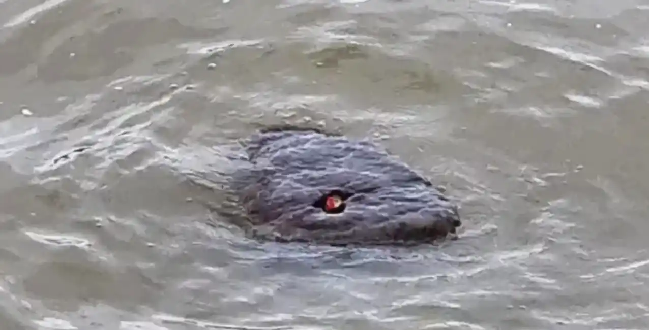 ¿Cuál es la leyenda del monstruo del lago Ness?