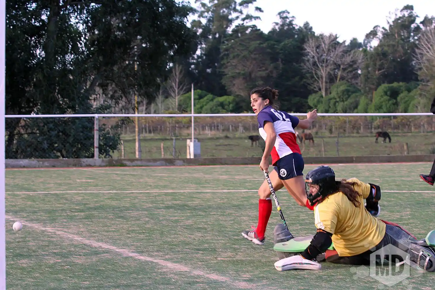 Con el mismo verdugo