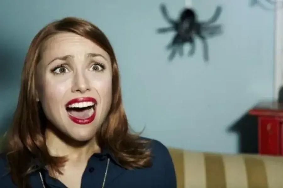Viral: usó a su mascota para matar a una araña y causó furor en las redes
