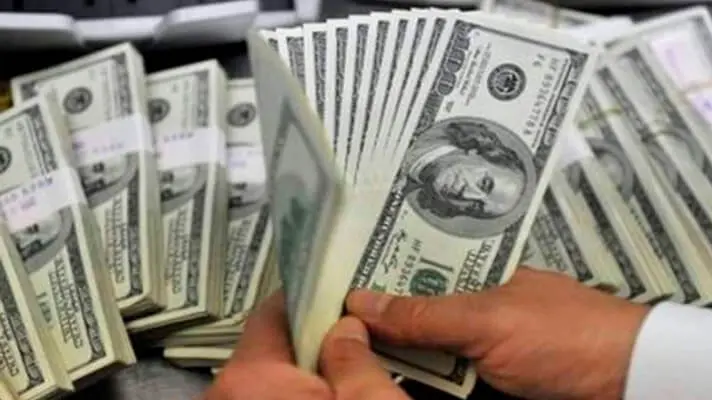 ¡UNA MILLONADA! Lo que gastó el BCV para mantener a raya el tipo de cambio en el 2021