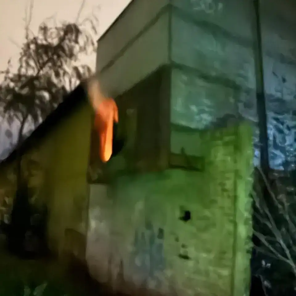 Incendio cerealera.