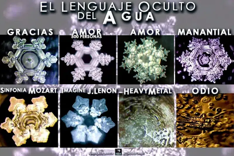 Por estas razones las palabras tienen impacto en nuestro cuerpo