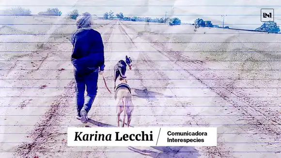 "El animal es un ser que siente, que piensa y que puede decir qué necesita": Karina Lecchi, comunicadora interespecies