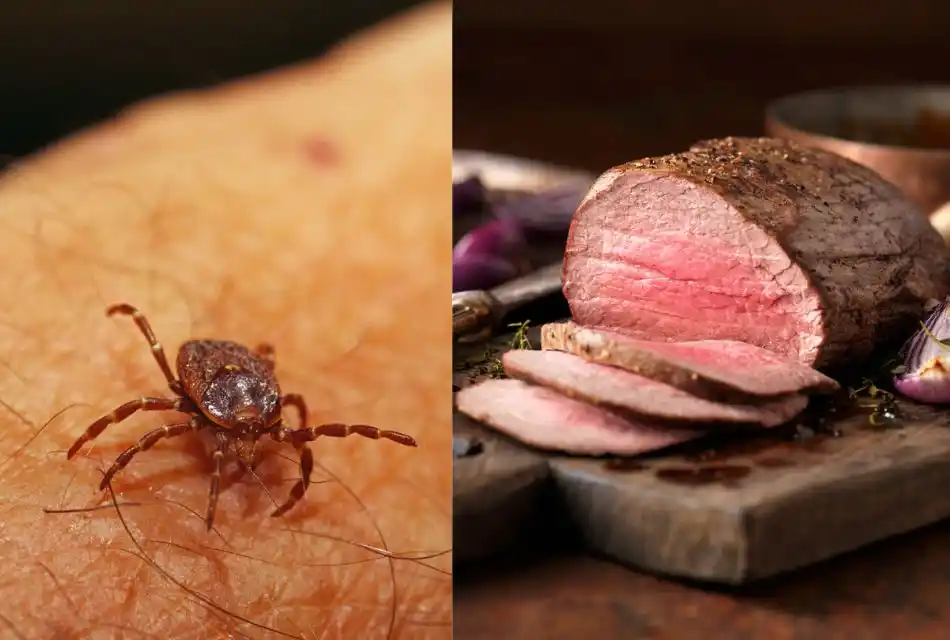 Los datos fueron publicados por el Centros para el Control y la Prevención de Enfermedades