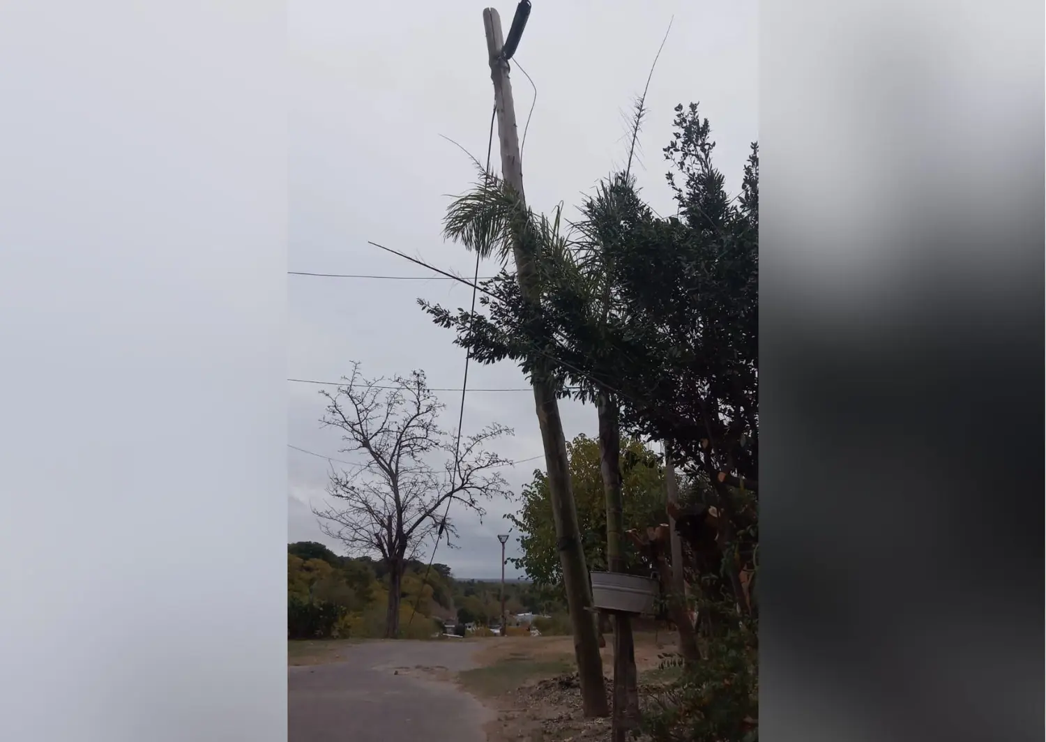 Liniers 2300: vecinos reportan por un palo que está a punto de caerse