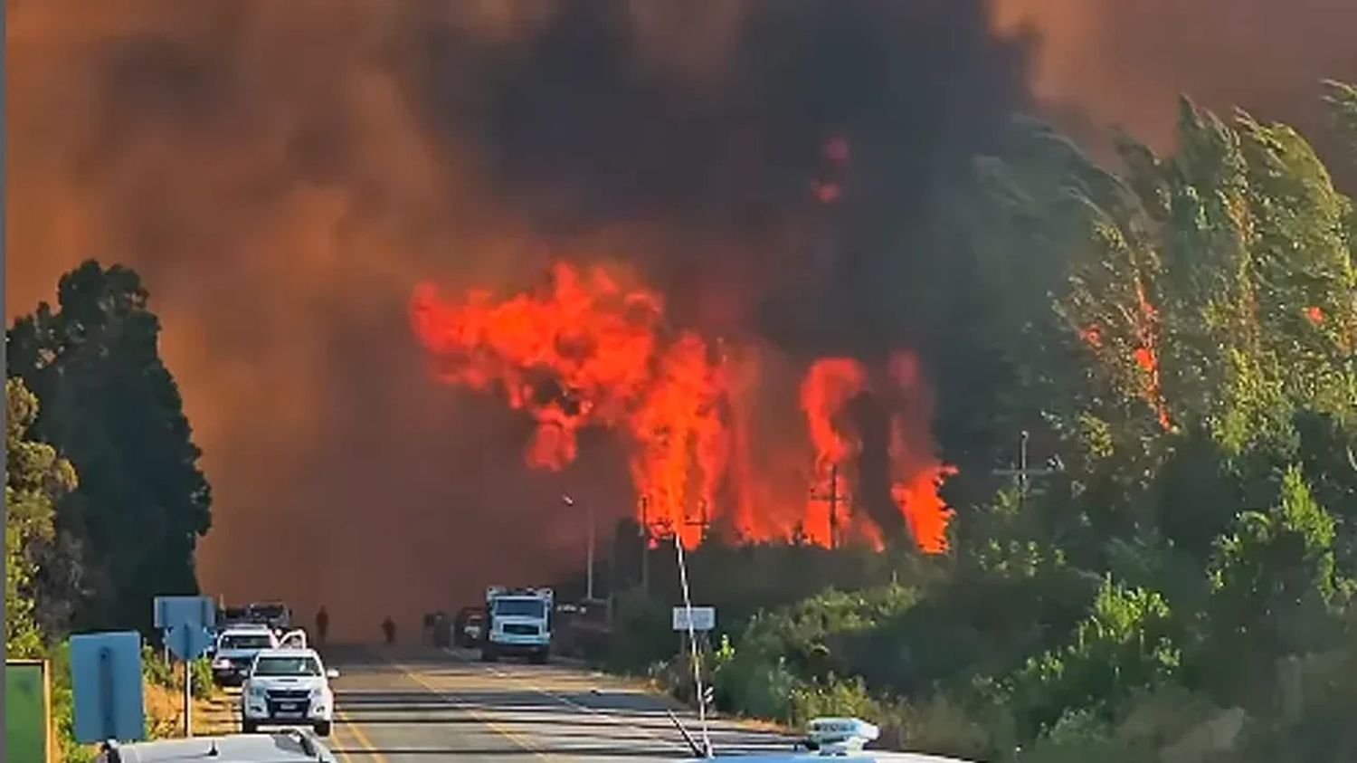 Adorni cuestionó los dichos del nuevo subsecretario de Ambiente sobre los incendios y puso en duda su designación