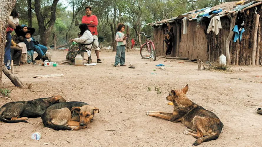 Economía en baja, pobreza en alza: relato y patología