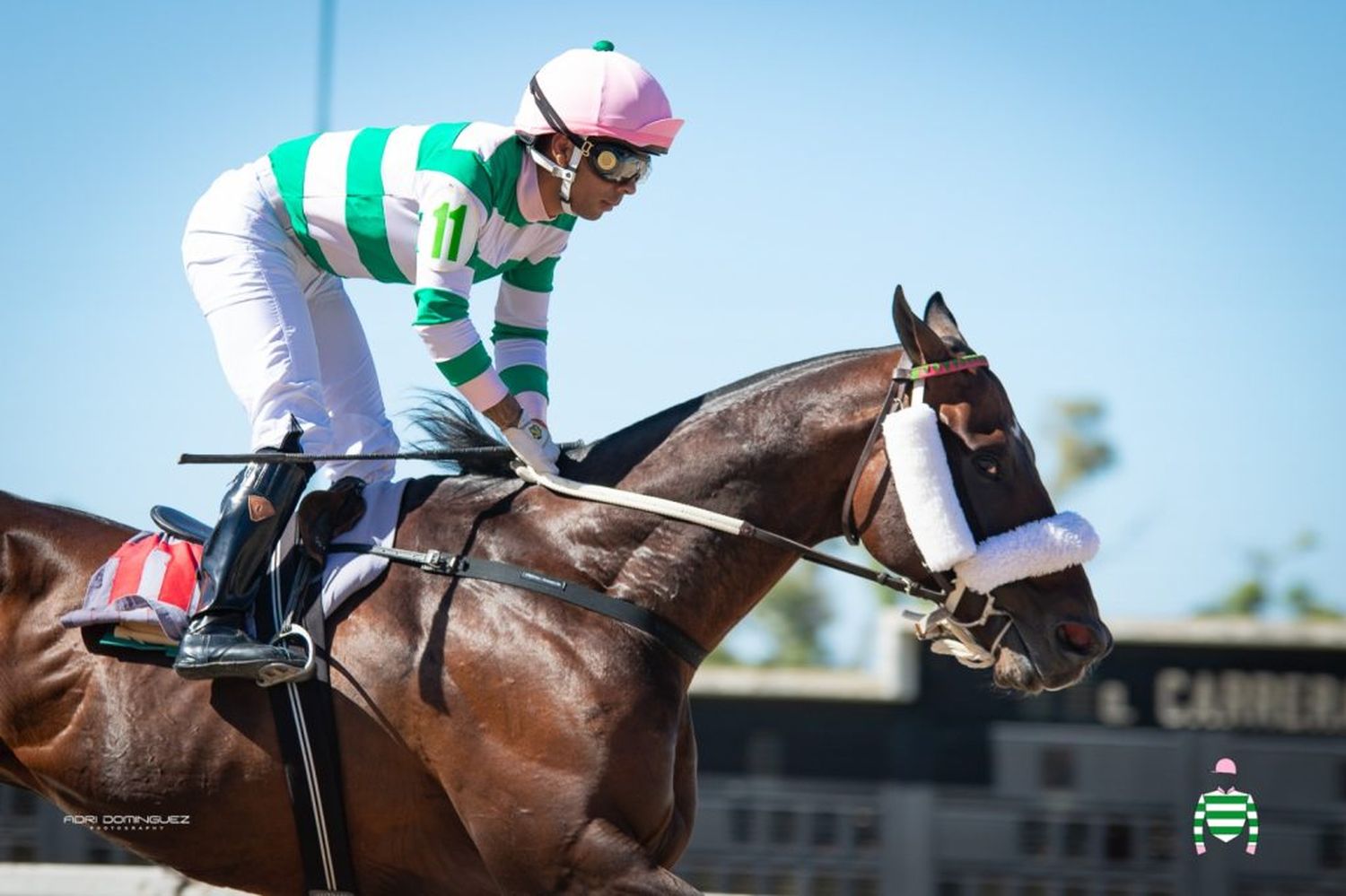 Ettore será la figura principal de la jornada. El ejemplar de la familia Grimaldi viene de Correr el Gran Premio República ARGENTINA (G1).