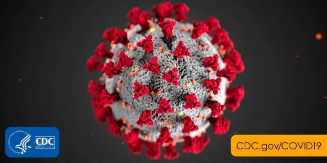 … De Taki hasta el Coronavirus: A seguir !!!
