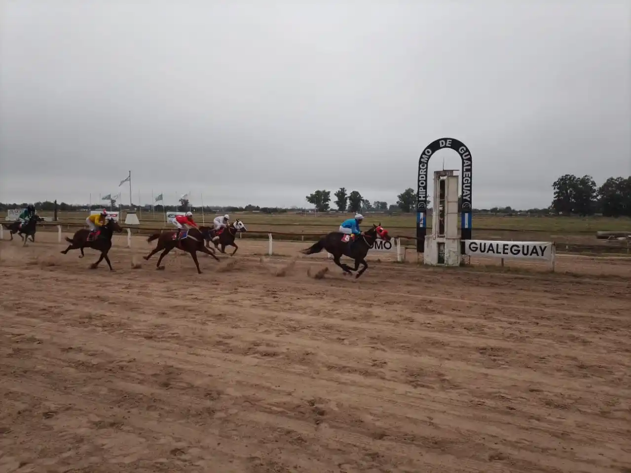 Turf: “El Negro Luis” brilló en el Gran Premio 25 de Mayo