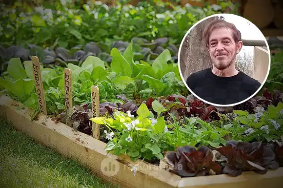 Taller gratuito de huerta y compostaje en barrio G. Lehmann: “Queremos que la huerta sea parte del paisaje”