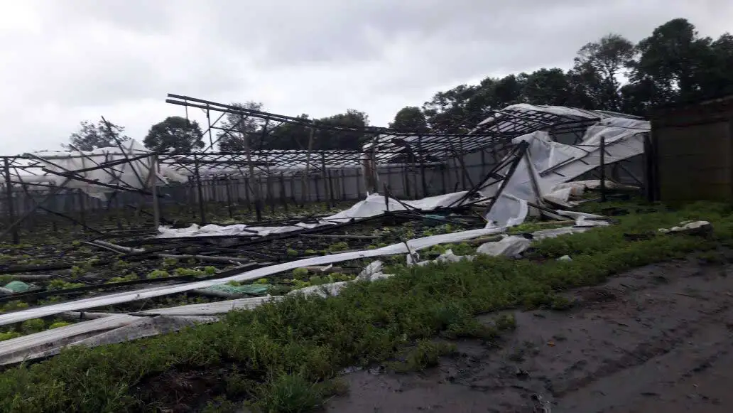 Frutihorticolas: “La emergencia ya pasó, el invierno no se pudo recuperar”