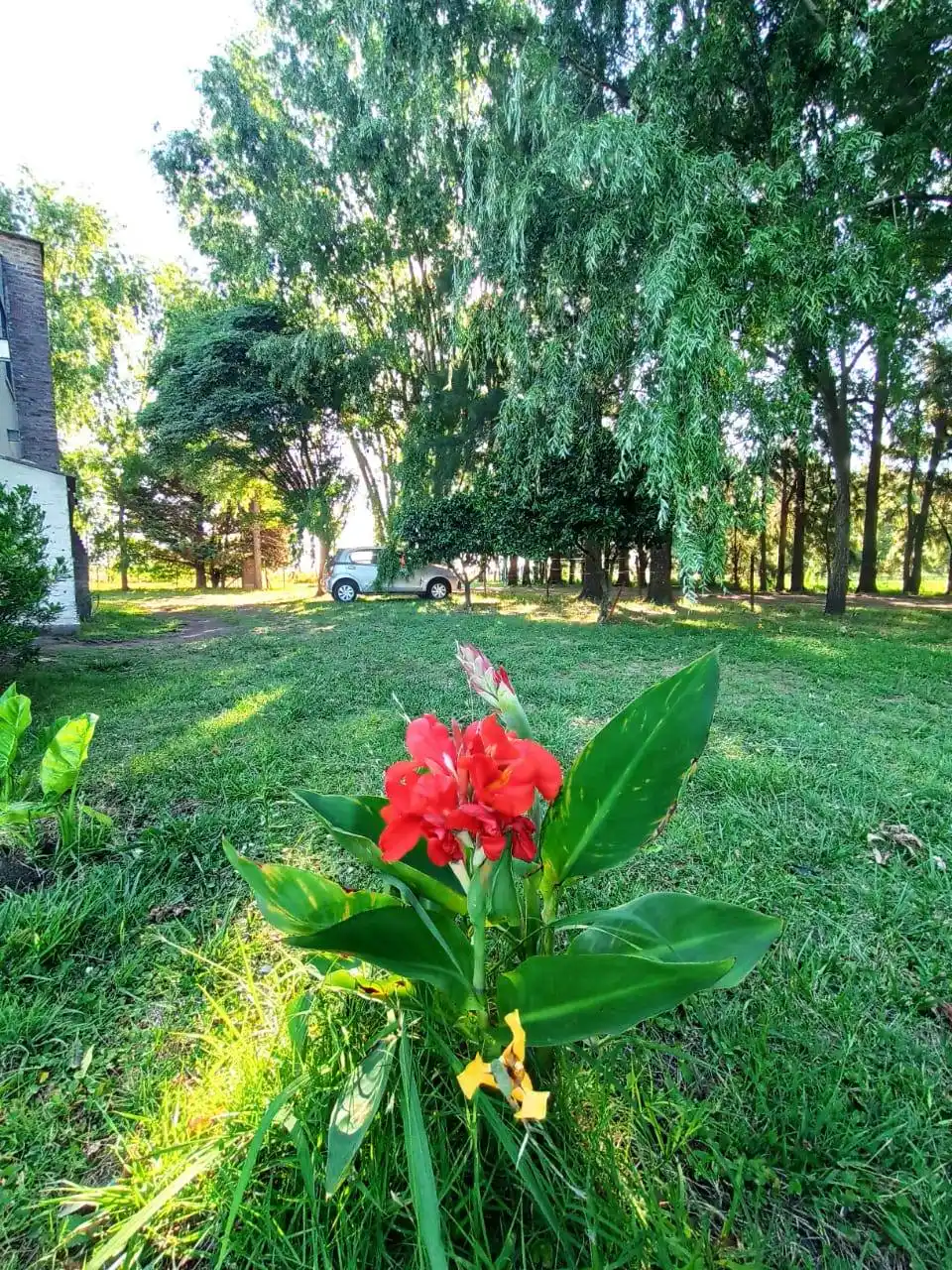 Inauguran ruta agroecológica en Mercedes: Espectacular propuesta para dormir en el bosque bajo las estrellas