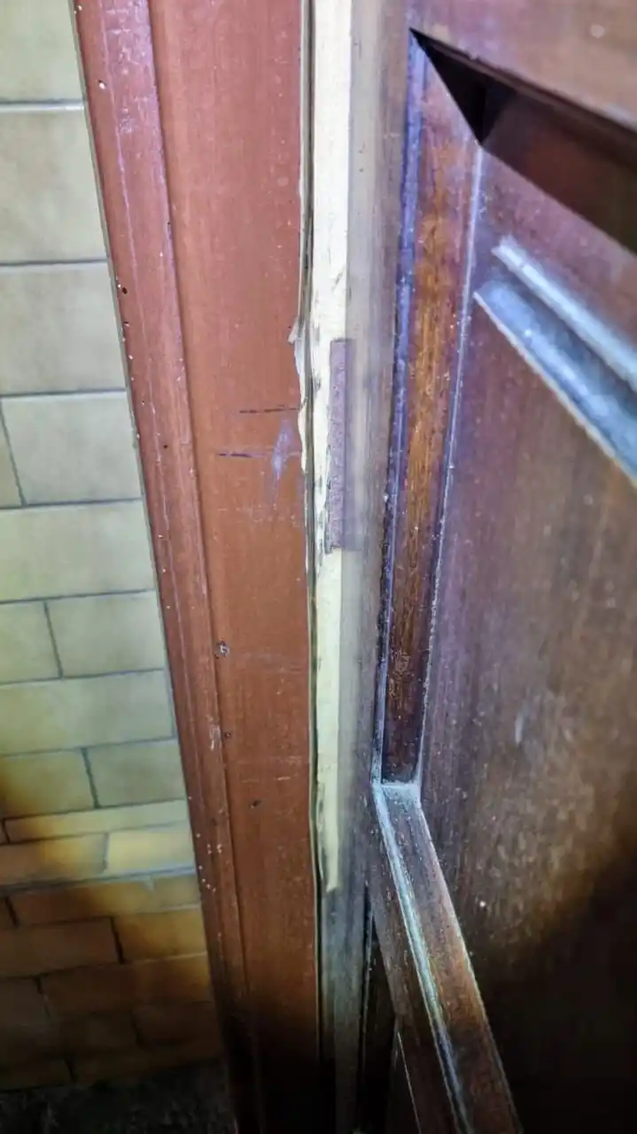 Los jóvenes tienen 14, 15 y 17 años