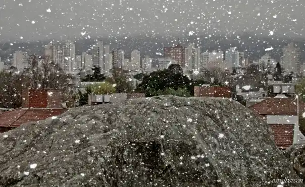 Nevó en Tandil: Las dos fotos más lindas del paisaje