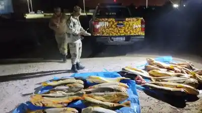 Entre Ríos: Decomisaron más de 400 kilos de pescado en un operativo de control