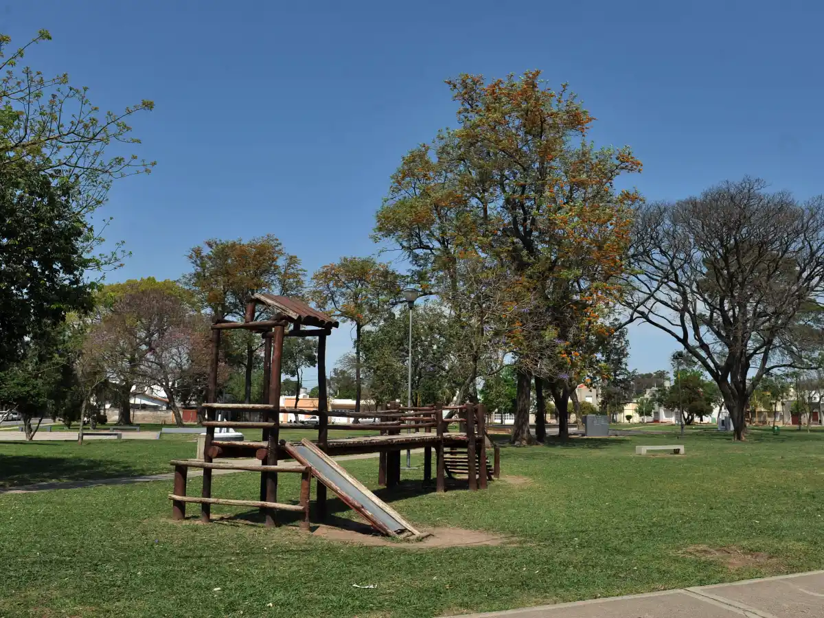 Los concejales debatirán el regreso de la figura del placero    