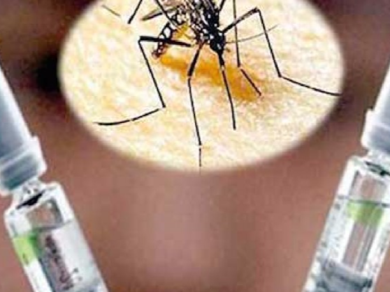 La FDA anunció la aprobación de la primera vacuna para el Dengue.