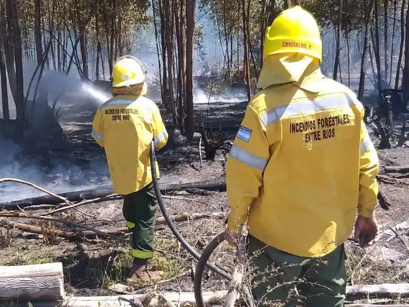 Altas temperaturas y riesgo de incendios rurales: resaltan la importancia de la prevención y el trabajo conjunto