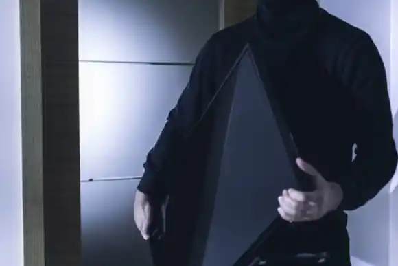 Siguen los robos a televisores: un joven se entregó a la Policía