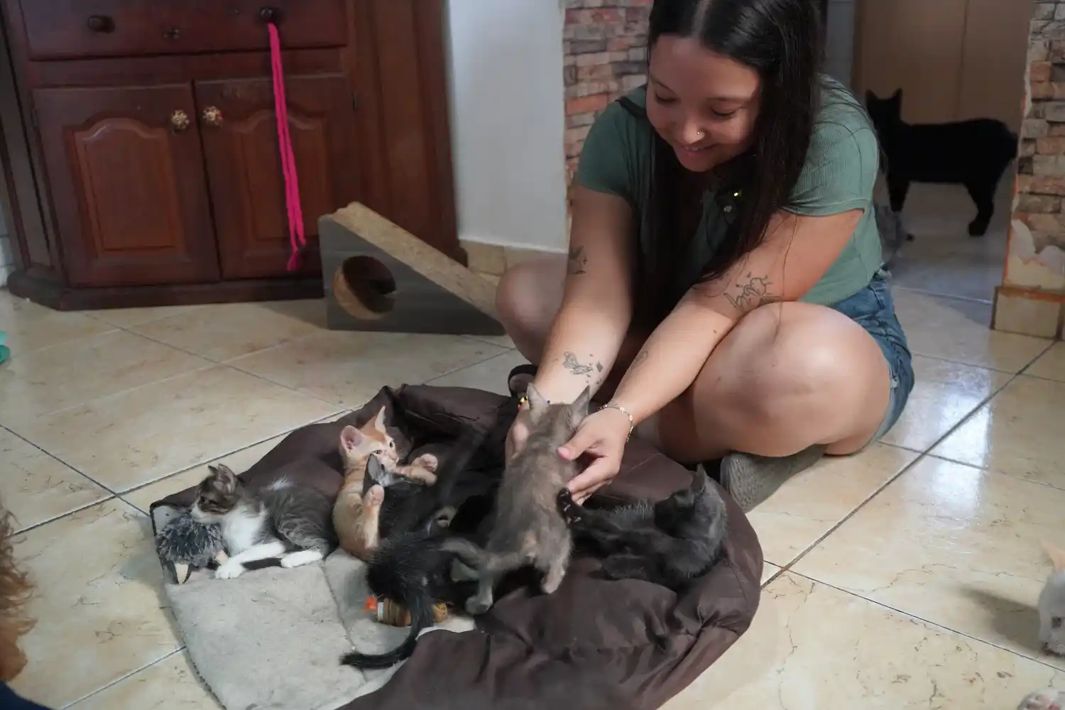 Amor sin límites: Delfina Lacassagne y su misión de salvar a más de 43 gatos del abandono