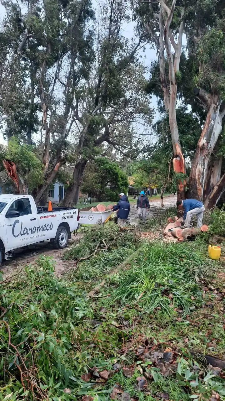 Despliegan un intenso operativo de limpieza en Claromecó tras el temporal