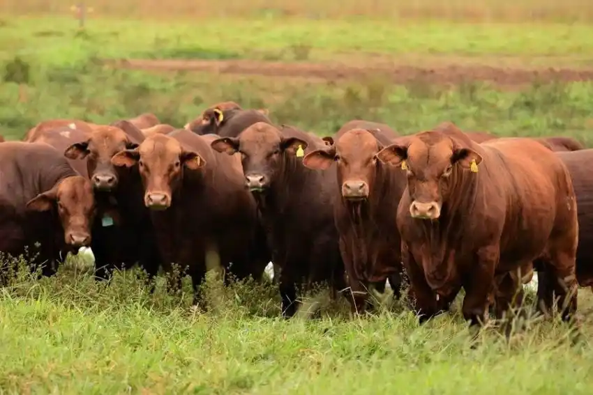 Quintana aludió a los nuevos desafíos que se enfrenta el sector agropecuario provincial