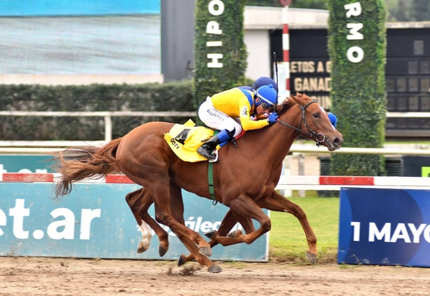 Viernes 20: Actividad Hipódromo de San Isidro