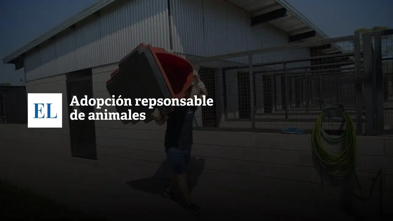 Adopción responsable de animales
