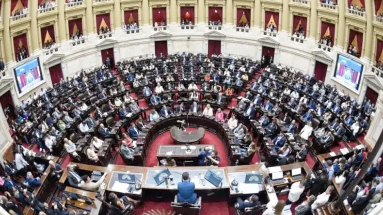 Diputados rechazó el veto del Ejecutivo a las leyes de financiamiento en pediatría y universitario