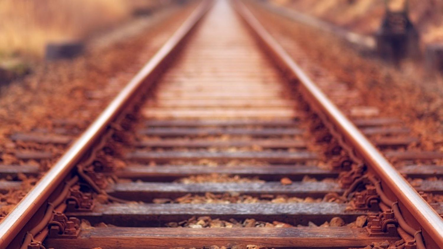 Una anciana de 70 años en silla de ruedas se salva milagrosamente luego que UN TREN LE PASÓ POR ENCIMA