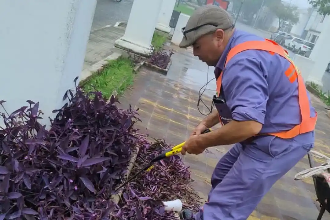 Refuerzan tareas de limpieza en distintos sectores de la ciudad