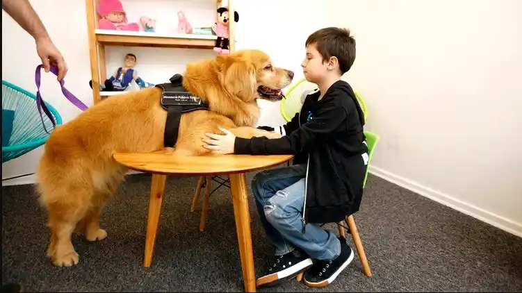  “Titán”, el primer perro que acompaña a niños a declarar