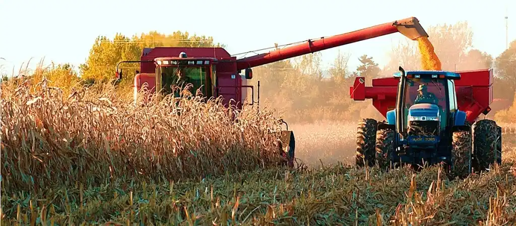 El INTA estima una mayor pérdida de cosecha para esta campaña