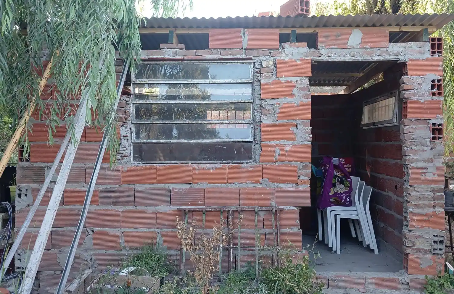 Refugio gatos en Río Tala