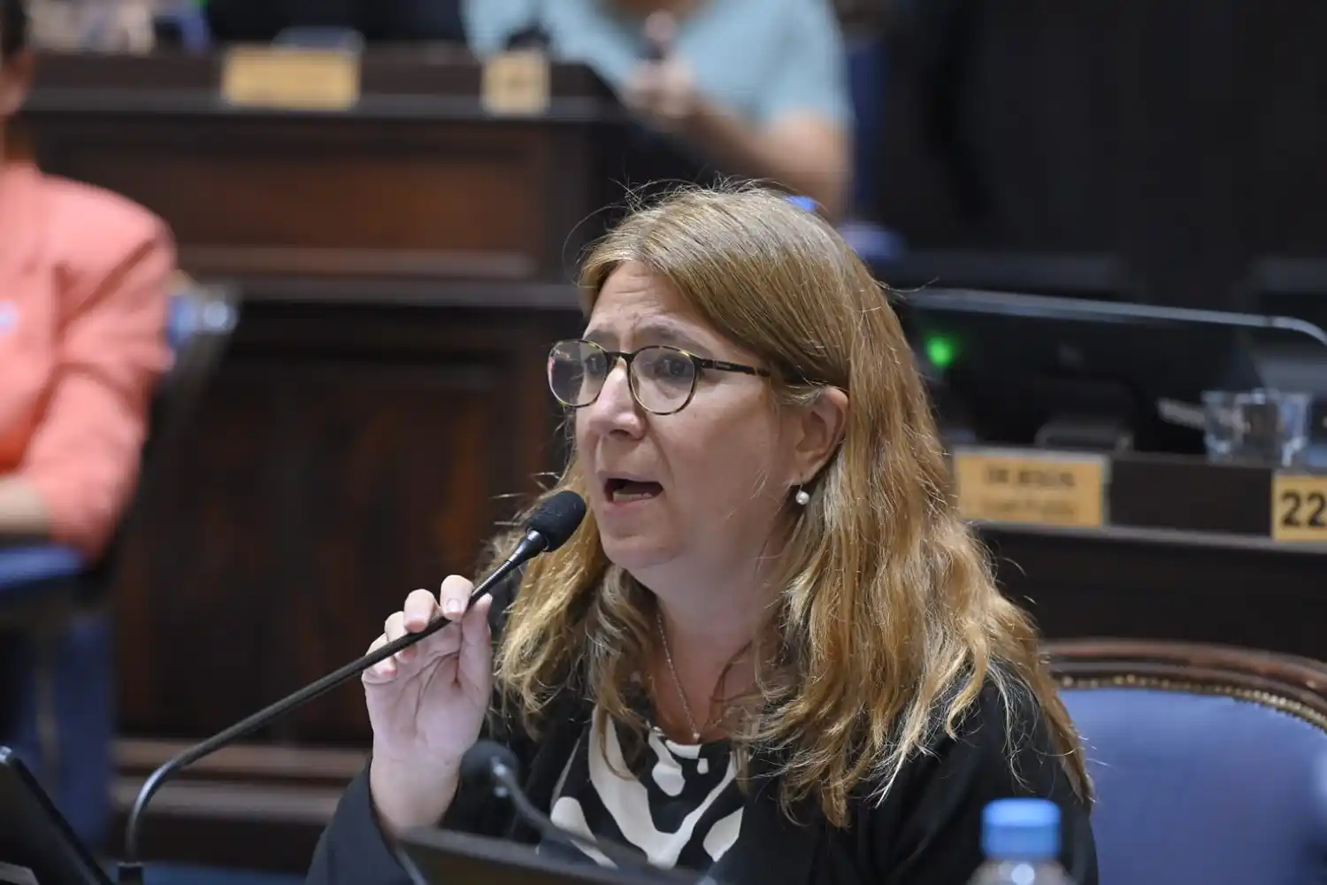 Rompió el silencio la única diputada de Kicillof que no dio quórum en la Legislatura: "Lo que digan, es especulación"
