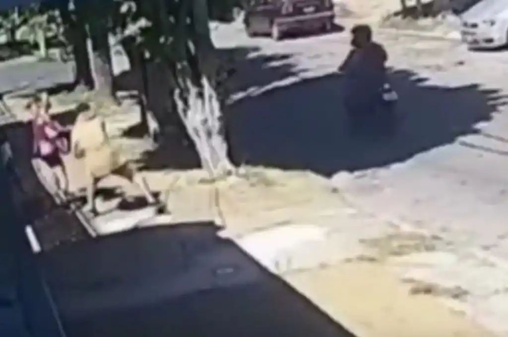 Captura de pantalla tomada del video.