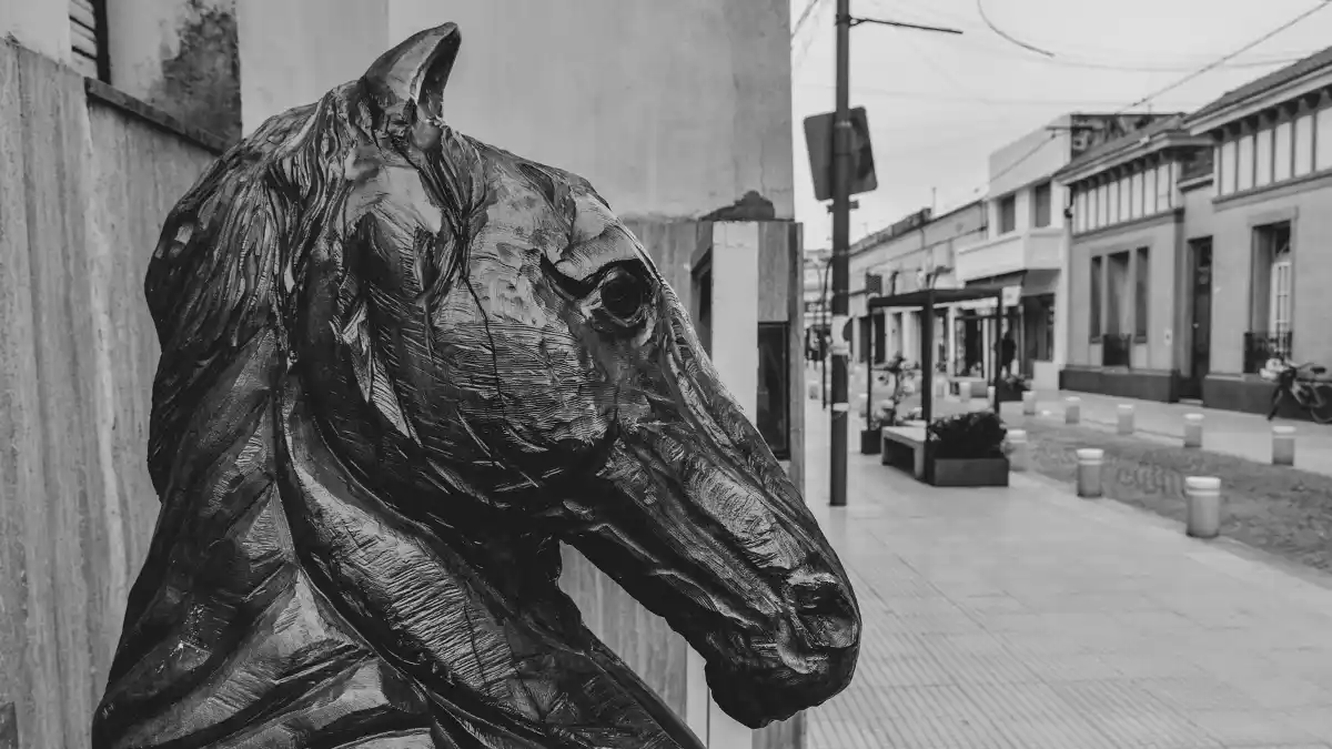 Coronavirus: 8 nuevos casos en Gualeguay y 179 en la Provincia