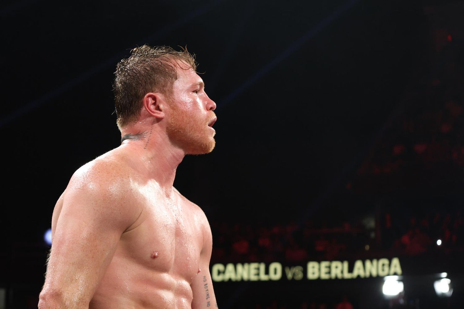 El invicto Crawford subirá de categoría para desafiar a Canelo Álvarez por todos los títulos supermediano/ Hola News