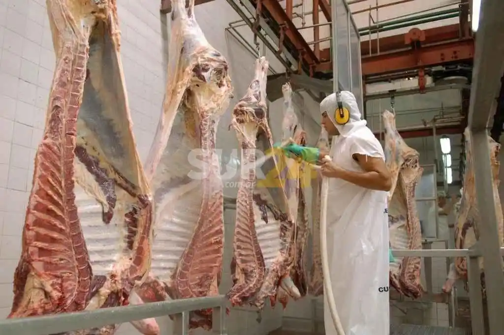 El ministro Basterra prometió que se flexibilizarán las exportaciones de carne