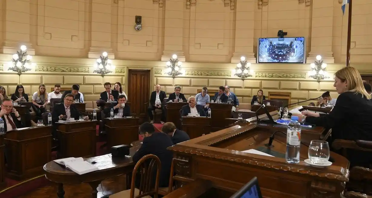 La vicegobernadora Scaglia con la ley ya aprobada. Foto: Manuel Fabatía