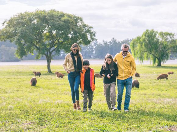 Entre Ríos llega a Buenos Aires con su propuesta de invierno