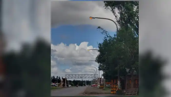 ¿Luces encendidas durante todo el día?