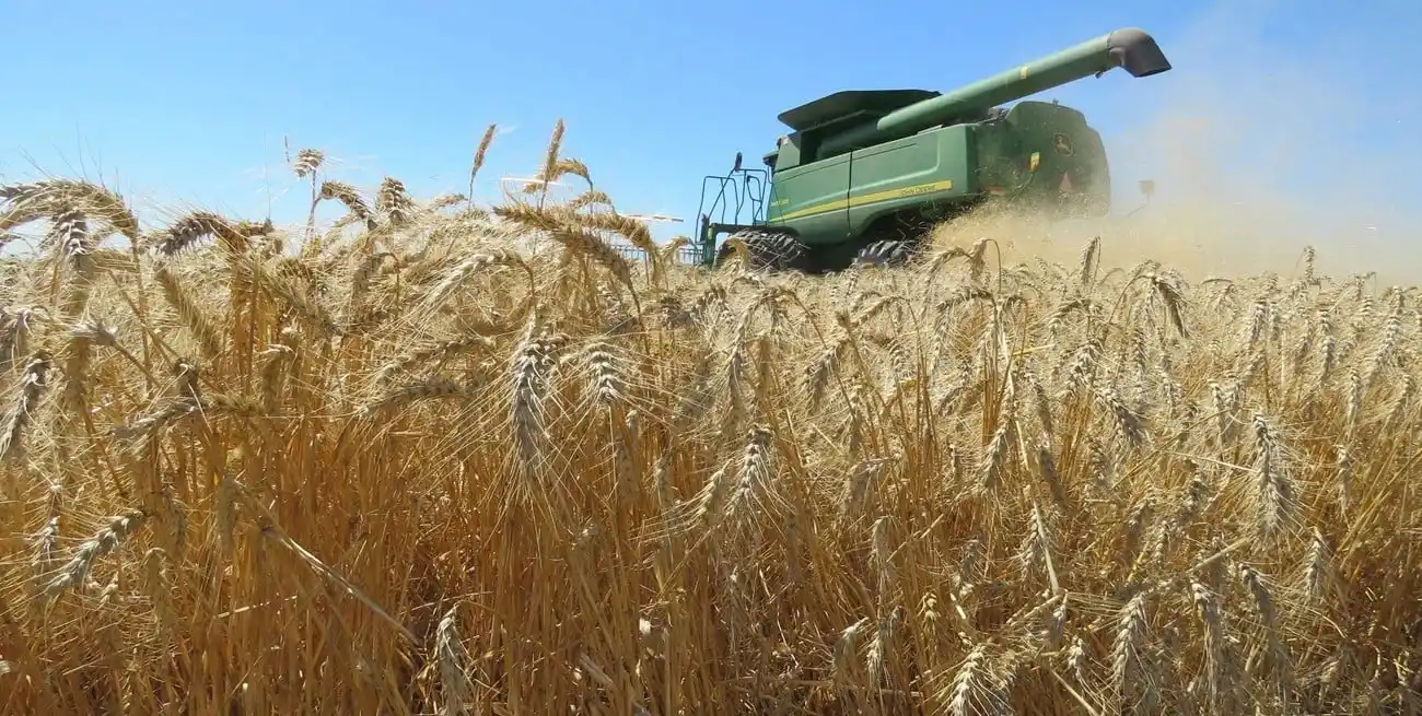 La producción agropecuaria de Santa Fe aporta y mucho a la obtención de divisas para las arcas de Nación.