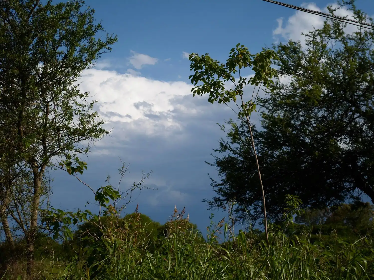 Clima inestable en Entre Ríos: Tormentas y lluvias afectan la región