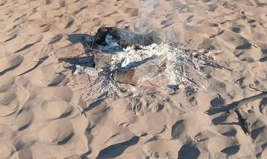 Bomberos apagaron una fogata en la playa: piden no encender fuego por riesgo a incendios forestales