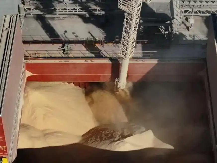 Las exportaciones mensuales cayeron por detrás del promedio histórico para el mes.