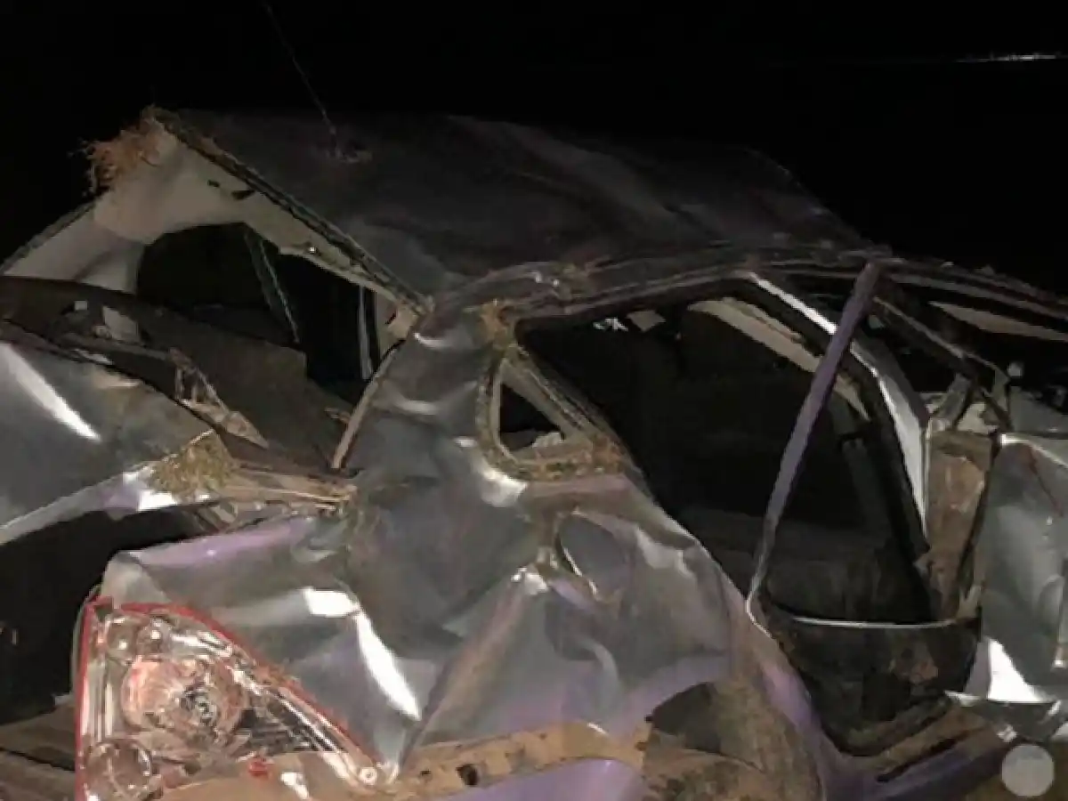 Murieron una niña y su madre tras el vuelco de un auto en Esperanza 