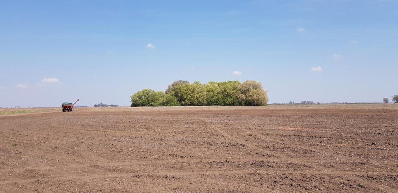 Los productores agropecuarios aseguran que el panorama sigue siendo poco alentador.