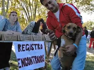 La Plata: Seis familias se reencontraron con sus mascotas tras el temporal